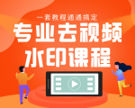 专业去视频水印教程 静态水印、动态水印、文字水印、图片水印一套教程通通搞定-水滴知识网