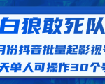 白狼敢死队最新抖音短视频批量起影视号(一天单人可操作30个号)视频课程-水滴知识网