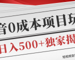 短视频变现套路剖析,抖音0成本赚钱项目玩法,日入500+独家揭秘(共2节视频)-水滴知识网