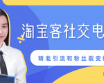 某站内部课程：淘宝客社交电商裂变，精准引流和粉丝裂变模式详解（共6节视频）-水滴知识网