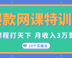爆款网课特训营,一套课程打天下,网课变现的10个实操法,月收入3万到10万-水滴知识网