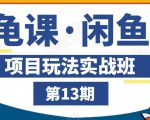 龟课·闲鱼项目玩法实战班第13期,轻松玩转闲鱼,多渠道多方法引流到私域流量池-水滴知识网