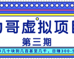 力哥实操内训虚拟项目第三期,每单几十块到几百甚至几千,日赚300-500+-水滴知识网