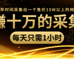 年赚十万的采集站,每天却只需要1小时,一年时间采集出一个售价10W以上的网站-水滴知识网