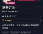 爆抖联盟蔷薇好物连怼100技术,一天连怼上百个视频,单场直播平均带货30万玩法-水滴知识网
