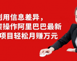 利用信息差异，零投资操作阿里巴巴最新管道项目轻松月赚10000+-水滴知识网