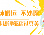抖音纯搬运 不处理 小技巧，30秒发一个作品，避免违规评级秒过豆荚-水滴知识网