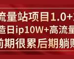《大流量站项目1.0+2.0》打造日IP10W+高流量站,前期很累后期躺赚-水滴知识网