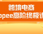 2020跨境电商蓝海新机会-SHOPEE大卖特训营：高阶终极课程（16节课）-水滴知识网