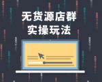 无货源店群实操玩法，蓝海选品的独特思路，店群软件操作方法（45节视频课）-水滴知识网
