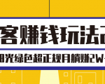 淘客赚钱玩法2.0,阳光绿色超正规项目,月躺赚2W+【视频课程】-水滴知识网
