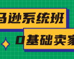 亚马逊系统班,专为0基础卖家量身打造,亚马逊运营流程与架构-水滴知识网