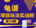龟课·闲鱼项目玩法实战班第14期,批量细节玩法,一个月收益几万-水滴知识网