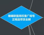 臻曦联盟抖音高权重广场号无人直播正规品带货全解-水滴知识网