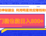 抖音上神秘副业项目,利用明星效应赚钱和截流,无门槛也能日入800+-水滴知识网