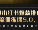 小红书爆款推广引流训练课5.0,手把手带你玩转小红书(17节实操视频+话术)-水滴知识网