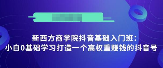 抖音基础入门班:小白0基础学习打造一个高权重赚钱的抖音号-水滴知识网