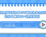 视频号新机制与不刷赞撸养生茶玩法,轻松日赚1000+-水滴知识网