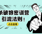 杀破狼密训营:B站霸屏引流的原理及方式+搭建赚钱的内容法则-水滴知识网