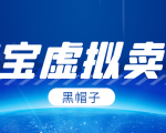 黑帽子淘宝虚拟卖货项目，单店每月收入5000+-水滴知识网