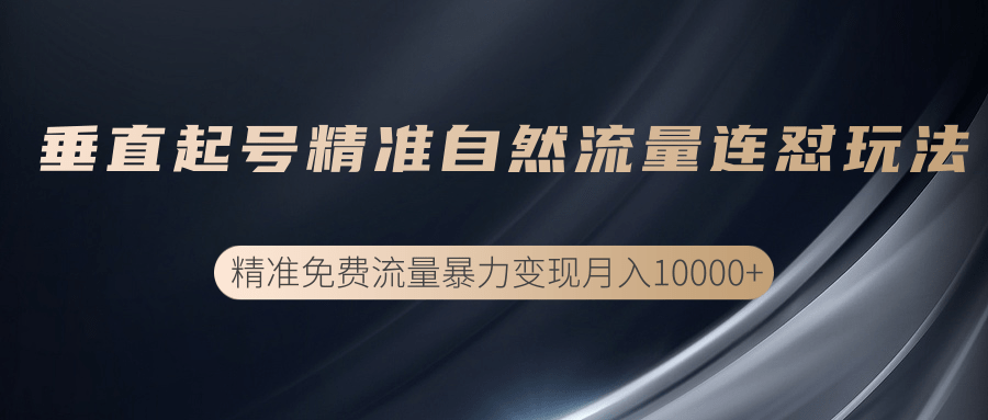 垂直起号精准自然流量连爆玩法,精准引流暴力变现月入10000+-水滴知识网