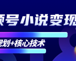柚子微信视频号小说变现项目，全新玩法零基础也能月入10000+【核心技术】-水滴知识网