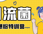 引流菌2020全网爆粉特训营（QQ群霸屏，知乎引流，群裂变，自动化引流等）-水滴知识网