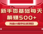 最新小白赚钱项目,零基础每天躺赚500+抖音小程序实战项目-水滴知识网