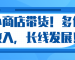 微信小商店带货,爆单多倍收入,长期复利循环!日赚300-800元不等-水滴知识网