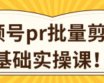 视频号PR批量剪辑0基础实操课,PR批量处理伪原创一分钟一个视频【共2节】-水滴知识网