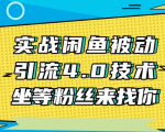 实战闲鱼被动引流4.0技术,坐等粉丝来找你,实操演示日加200+精准粉-水滴知识网