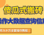 搬砖操作大数据查询信用项目赚钱教程,祝你快速月入6万-水滴知识网