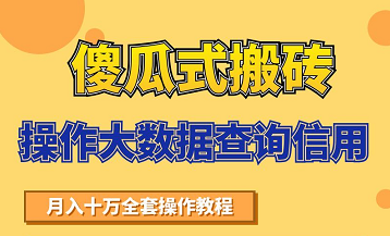 搬砖操作大数据查询信用项目赚钱教程，祝你快速月入6万-水滴知识网