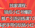 狼叔小红书爆款推广引流训练课7.0,手把手带你玩转小红书-水滴知识网