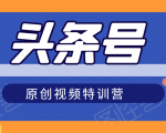 头条号原创视频特训营:一对一带你玩转短视频,新号10天日收益破252元-水滴知识网