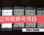 野路子小红书视频号1.0项目,直接上手操作就能赚钱的视频号项目-水滴知识网