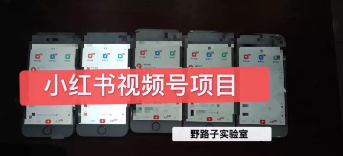 野路子小红书视频号1.0项目,直接上手操作就能赚钱的视频号项目-水滴知识网