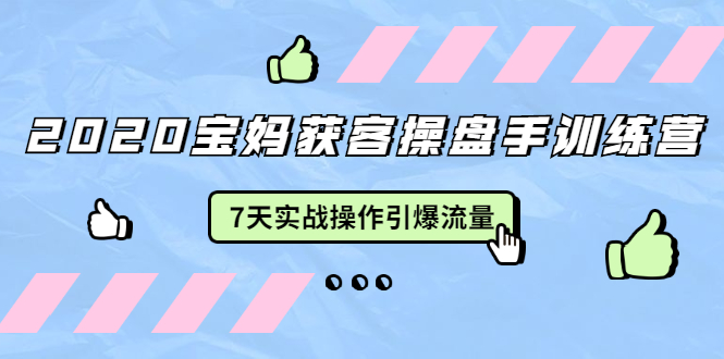 2020宝妈获客操盘手训练营:7天实战操作引爆 母婴、都市、购物宝妈流量-水滴知识网