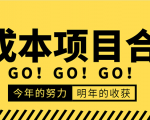 低成本零成本项目合集:赚钱快的慢的、暴利的,线上线下的,价值万元资料-水滴知识网