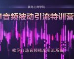 黄岛主·FM音频引流特训营2.0：独家引流模式，单账号50W+播放量，轻松变现-水滴知识网