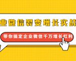 企业微信裂变增长实战课:带你搞定企业微信千万增长红利,新流量-新玩法-水滴知识网