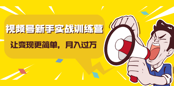 视频号新手实战训练营,让变现更简单,玩赚视频号,轻松月入过万-水滴知识网