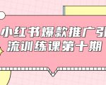 小红书爆款推广引流训练课第十期,手把手带你玩转小红书,轻松月入过万-水滴知识网