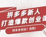 拼多多新人打造爆款创业课：快速引流持续出单，适用于所有新人-水滴知识网