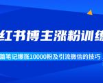 小红书博主涨粉训练营：一篇笔记爆涨10000粉及引流微信的技巧-水滴知识网