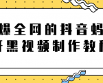 火爆全网的抖音“蚂蚁牙黑”视频制作教程,附软件【视频教程】-水滴知识网