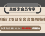 暴利偏门项目全套合集视频教程:你要的日赚1000+月入几万+项目都有-水滴知识网