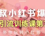 狼叔小红书爆款推广引流训练课第12期,手把手带你玩转小红书-水滴知识网