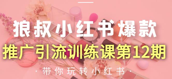 狼叔小红书爆款推广引流训练课第12期,手把手带你玩转小红书-水滴知识网