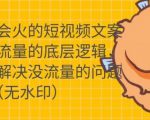 只说话就会火的短视频文案课,从根本上解决没流量的问题-水滴知识网